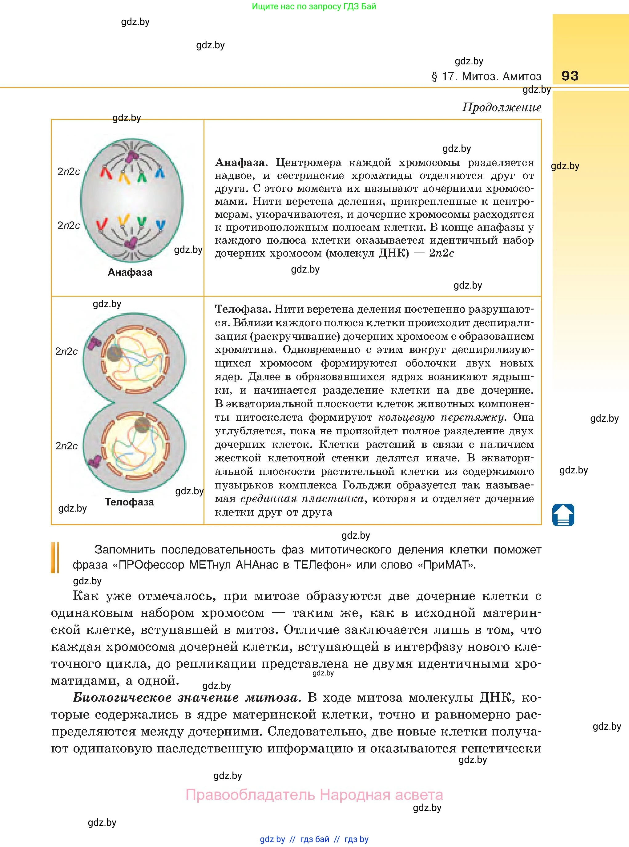 Биология, 11 класс Учебник, авторы: Дашков Максим Леонидович, Песнякевич Александр Георгиевич, Головач Алексей Михайлович, издательство Народная асвета, Минск, 2021, голубого цвета, страница 93