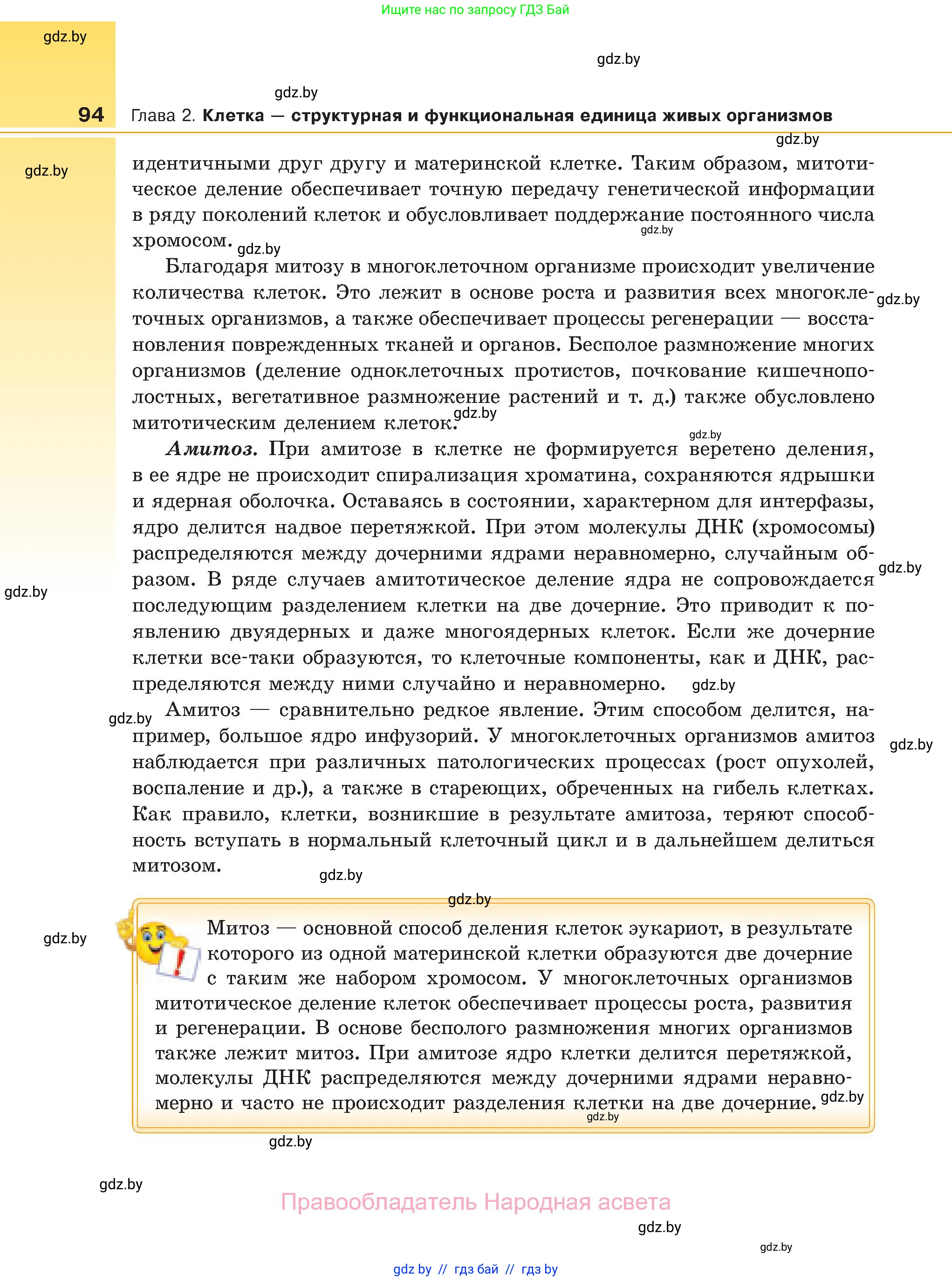 Биология, 11 класс Учебник, авторы: Дашков Максим Леонидович, Песнякевич Александр Георгиевич, Головач Алексей Михайлович, издательство Народная асвета, Минск, 2021, голубого цвета, страница 94