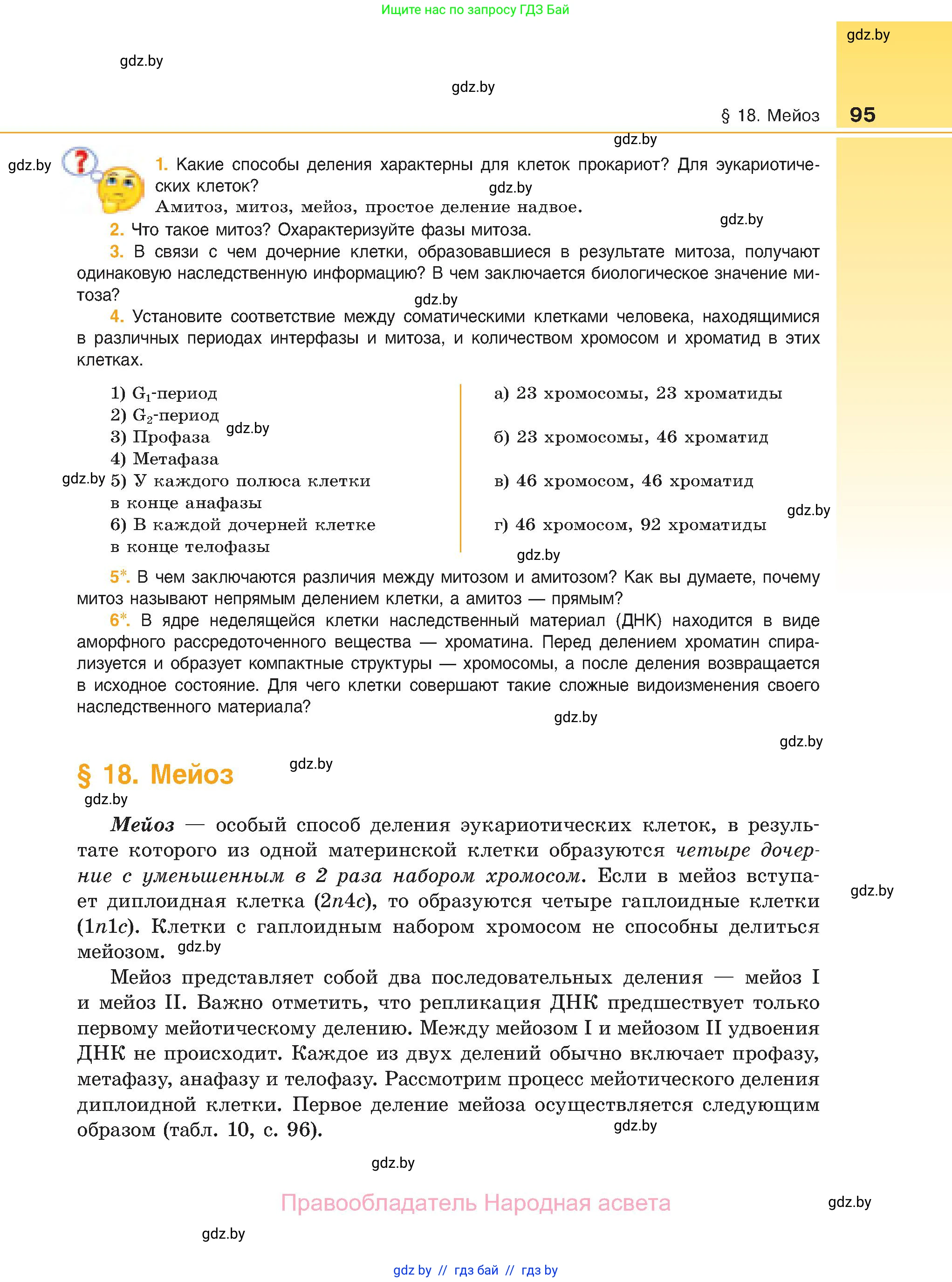 Биология, 11 класс Учебник, авторы: Дашков Максим Леонидович, Песнякевич Александр Георгиевич, Головач Алексей Михайлович, издательство Народная асвета, Минск, 2021, голубого цвета, страница 95