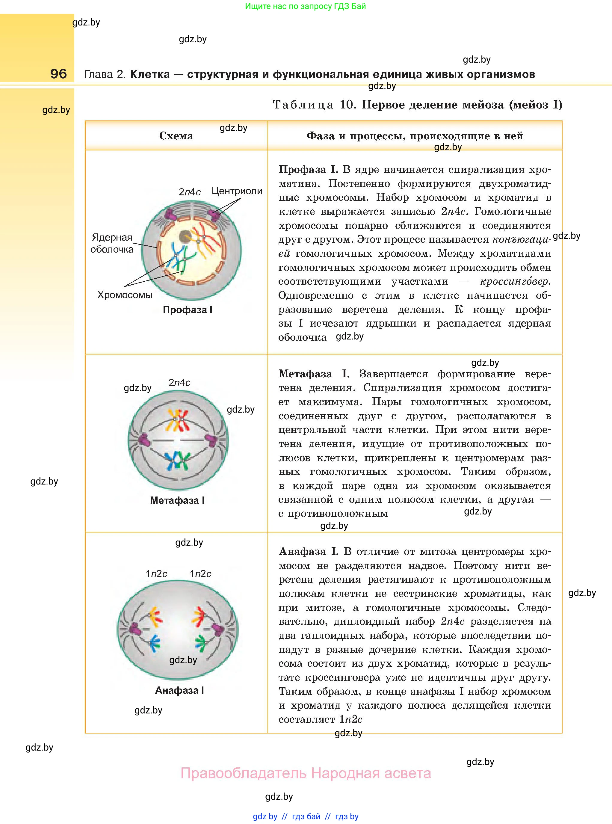 Биология, 11 класс Учебник, авторы: Дашков Максим Леонидович, Песнякевич Александр Георгиевич, Головач Алексей Михайлович, издательство Народная асвета, Минск, 2021, голубого цвета, страница 96