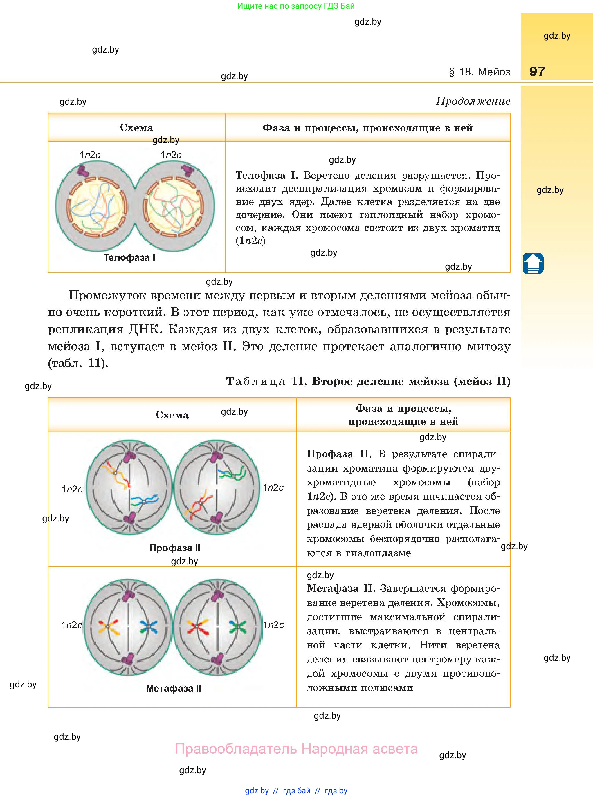 Биология, 11 класс Учебник, авторы: Дашков Максим Леонидович, Песнякевич Александр Георгиевич, Головач Алексей Михайлович, издательство Народная асвета, Минск, 2021, голубого цвета, страница 97