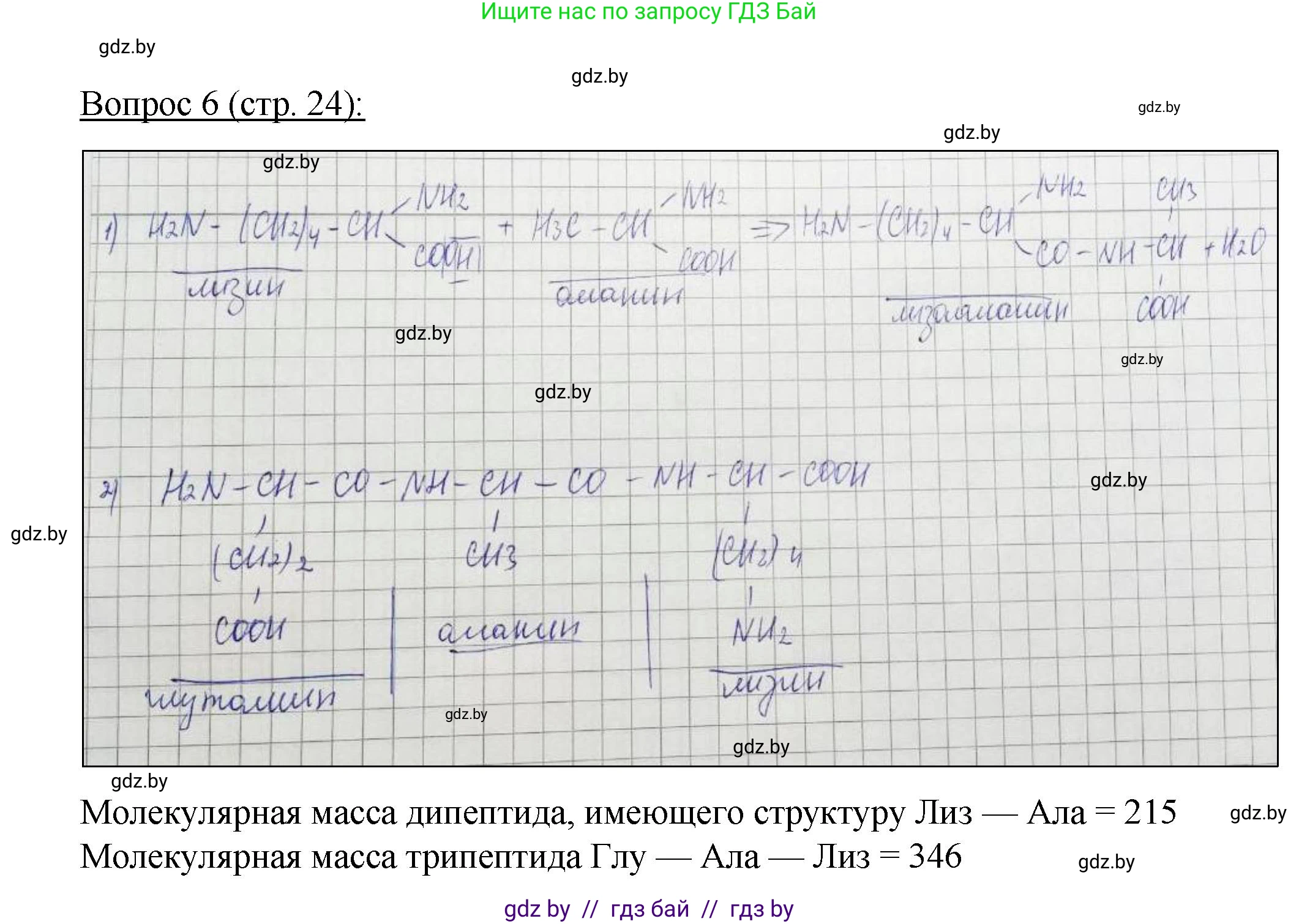 Биология, 11 класс Учебник, авторы: Дашков Максим Леонидович, Песнякевич Александр Георгиевич, Головач Алексей Михайлович, издательство Народная асвета, Минск, 2021, голубого цвета, страница 24, номер 6, Решение