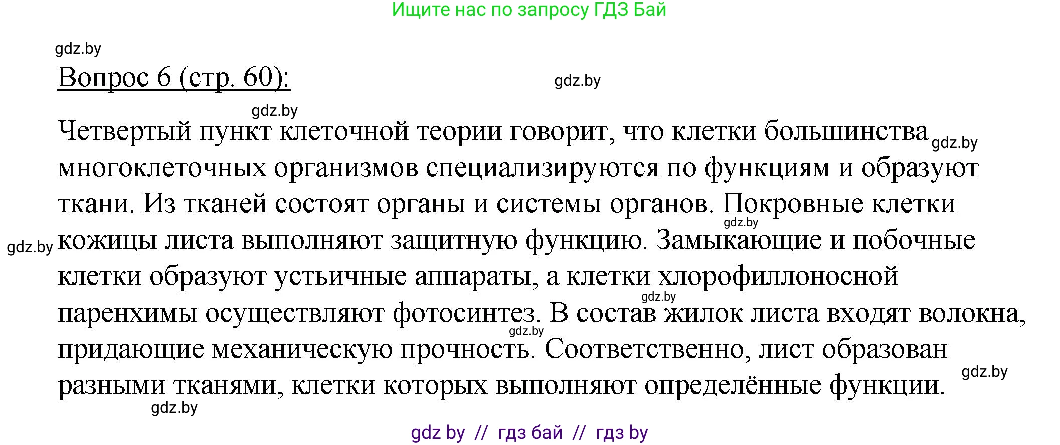 Биология, 11 класс Учебник, авторы: Дашков Максим Леонидович, Песнякевич Александр Георгиевич, Головач Алексей Михайлович, издательство Народная асвета, Минск, 2021, голубого цвета, страница 60, номер 6, Решение