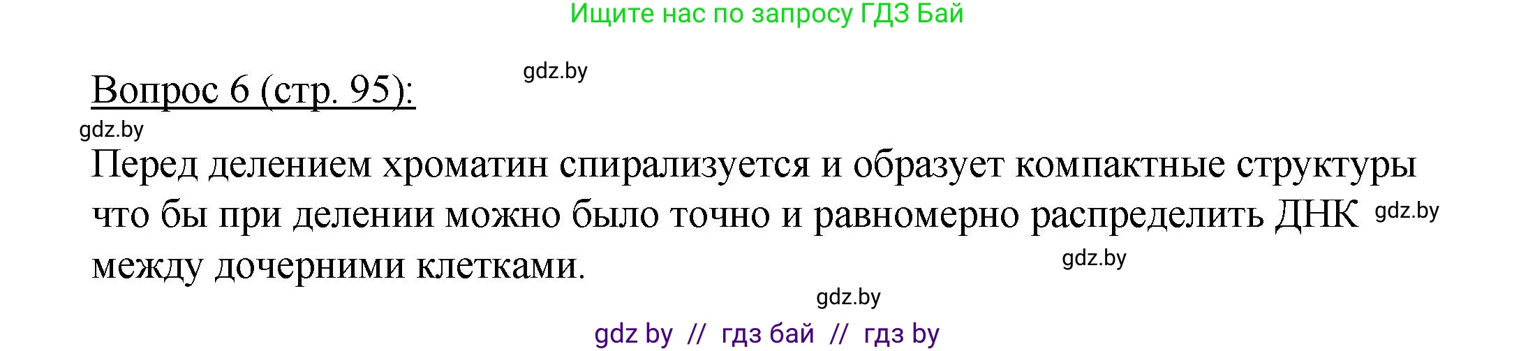 Биология, 11 класс Учебник, авторы: Дашков Максим Леонидович, Песнякевич Александр Георгиевич, Головач Алексей Михайлович, издательство Народная асвета, Минск, 2021, голубого цвета, страница 95, номер 6, Решение