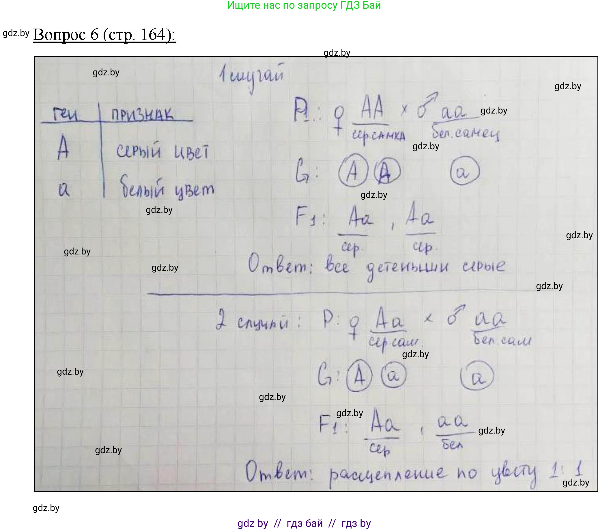 Биология, 11 класс Учебник, авторы: Дашков Максим Леонидович, Песнякевич Александр Георгиевич, Головач Алексей Михайлович, издательство Народная асвета, Минск, 2021, голубого цвета, страница 164, номер 6, Решение
