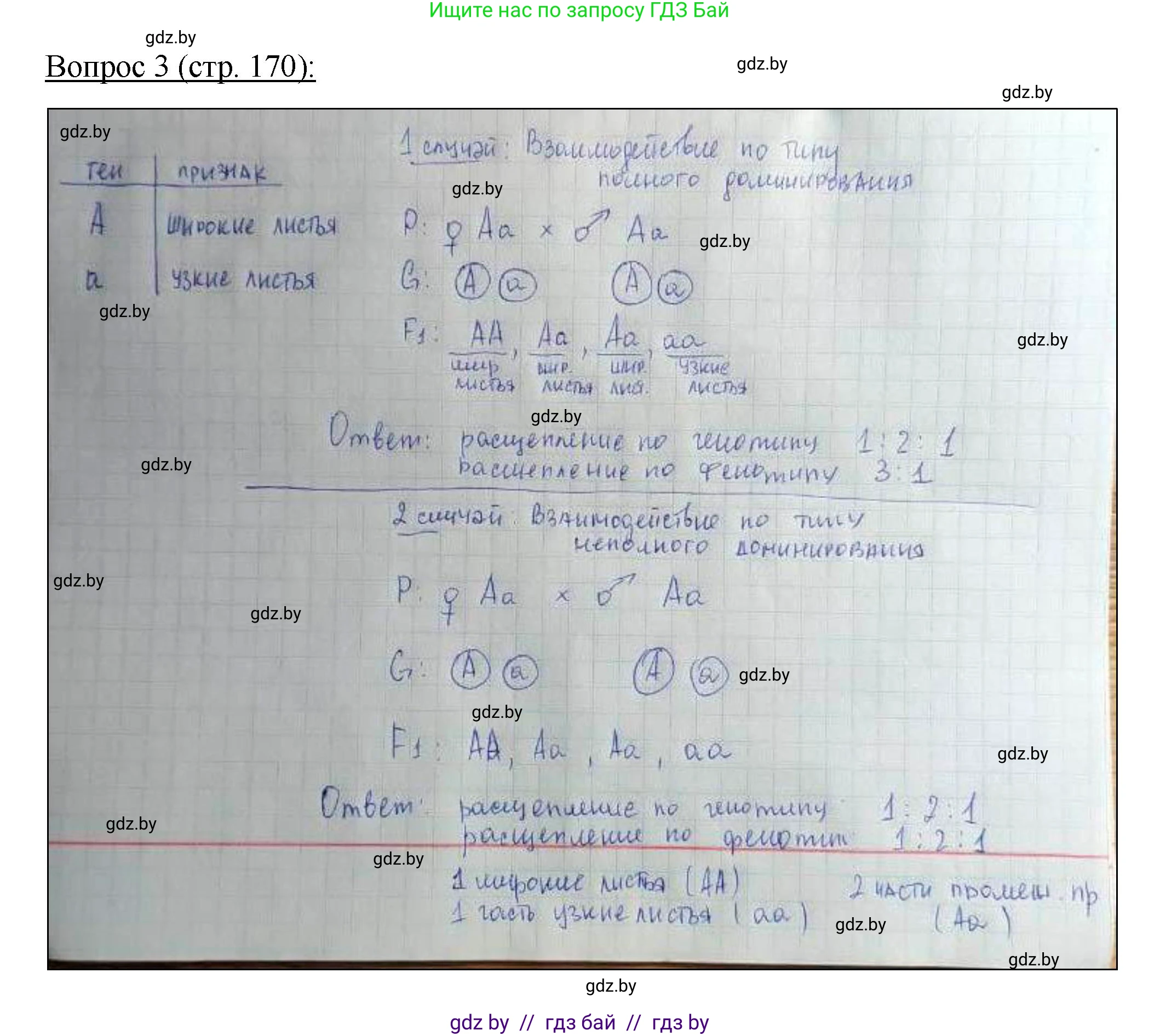 Биология, 11 класс Учебник, авторы: Дашков Максим Леонидович, Песнякевич Александр Георгиевич, Головач Алексей Михайлович, издательство Народная асвета, Минск, 2021, голубого цвета, страница 170, номер 3, Решение