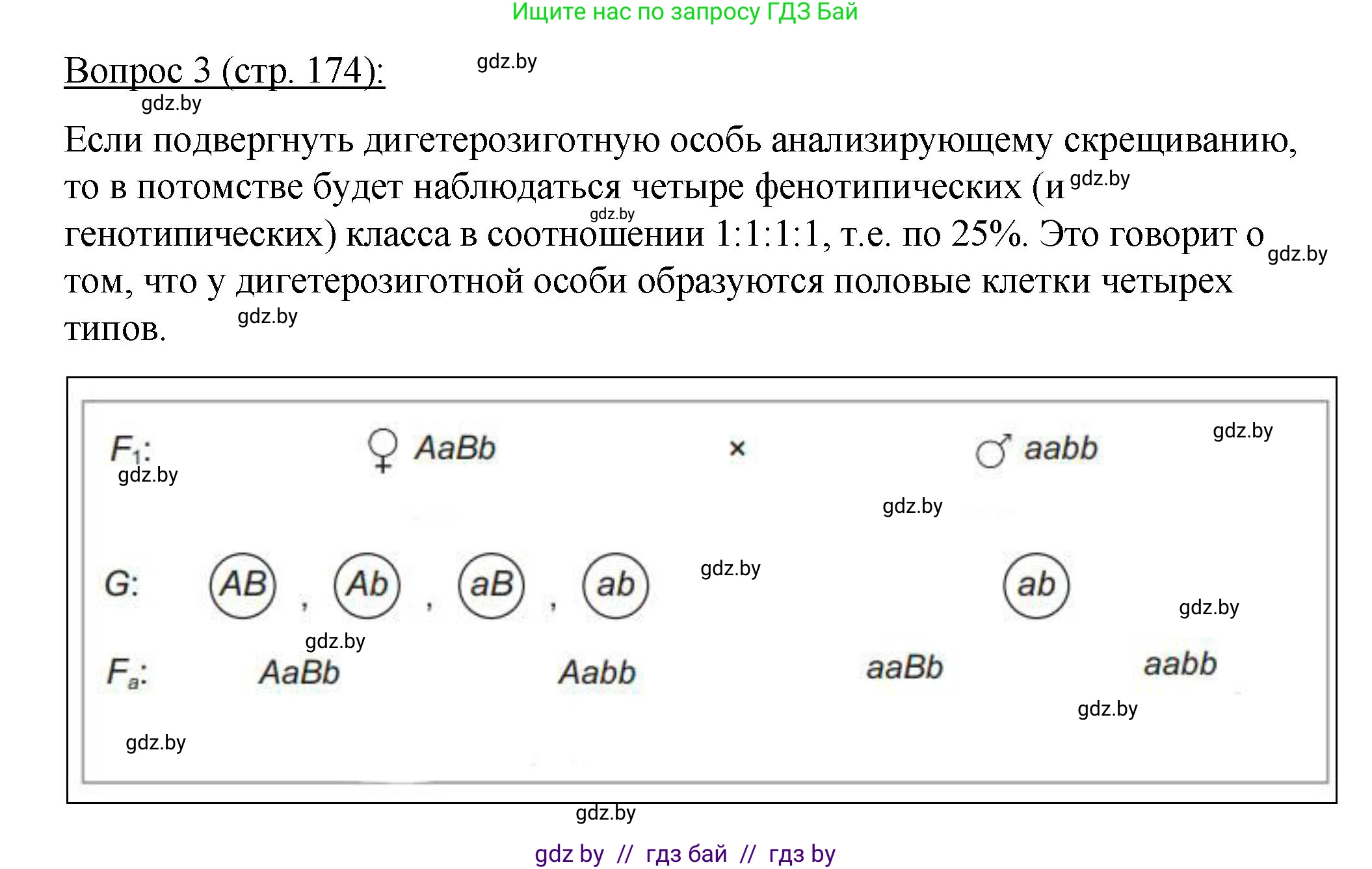 Биология, 11 класс Учебник, авторы: Дашков Максим Леонидович, Песнякевич Александр Георгиевич, Головач Алексей Михайлович, издательство Народная асвета, Минск, 2021, голубого цвета, страница 174, номер 3, Решение