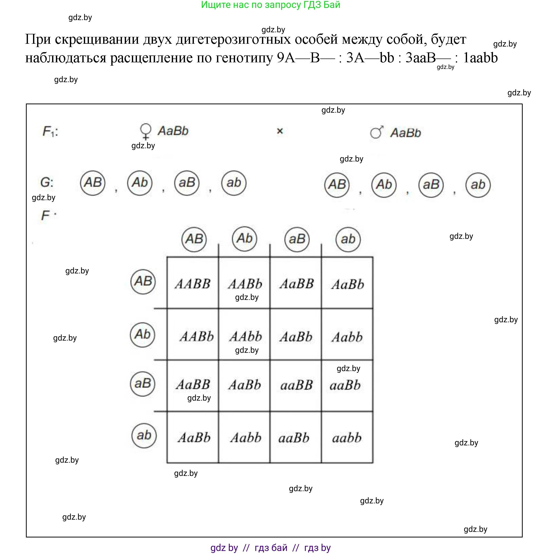 Биология, 11 класс Учебник, авторы: Дашков Максим Леонидович, Песнякевич Александр Георгиевич, Головач Алексей Михайлович, издательство Народная асвета, Минск, 2021, голубого цвета, страница 174, номер 3, Решение (продолжение 2)