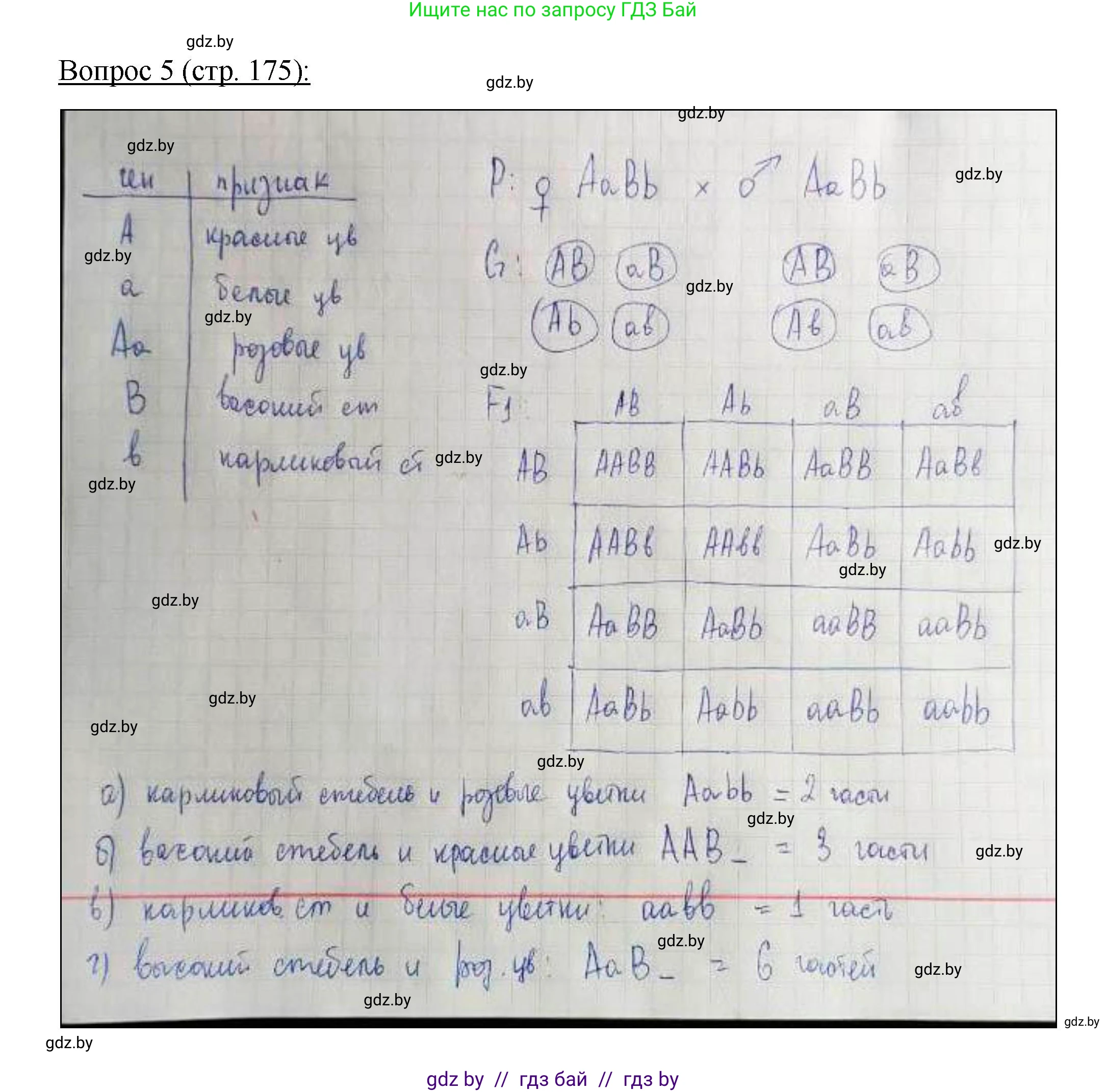 Биология, 11 класс Учебник, авторы: Дашков Максим Леонидович, Песнякевич Александр Георгиевич, Головач Алексей Михайлович, издательство Народная асвета, Минск, 2021, голубого цвета, страница 175, номер 5, Решение