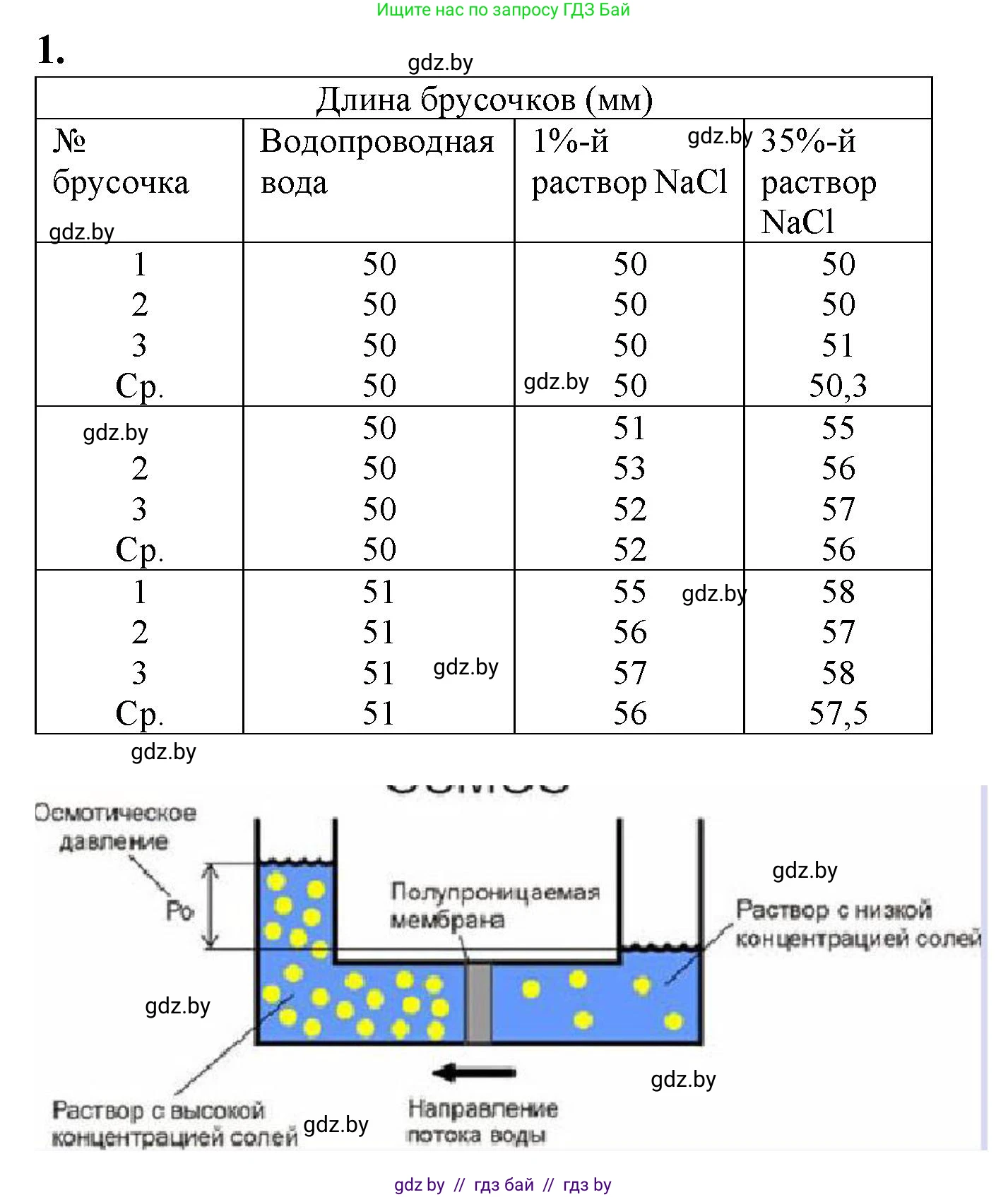 Биология, 11 класс Тетрадь для лабораторных и практических работ, автор: Хруцкая Тамара Викторовна, издательство Аверсэв, Минск, 2021, жёлтого цвета, страница 16, номер 1, Решение
