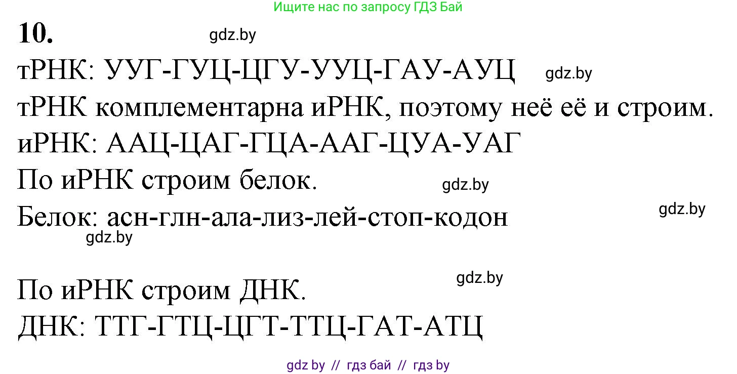 Биология, 11 класс Тетрадь для лабораторных и практических работ, автор: Хруцкая Тамара Викторовна, издательство Аверсэв, Минск, 2021, жёлтого цвета, страница 53, номер 10, Решение