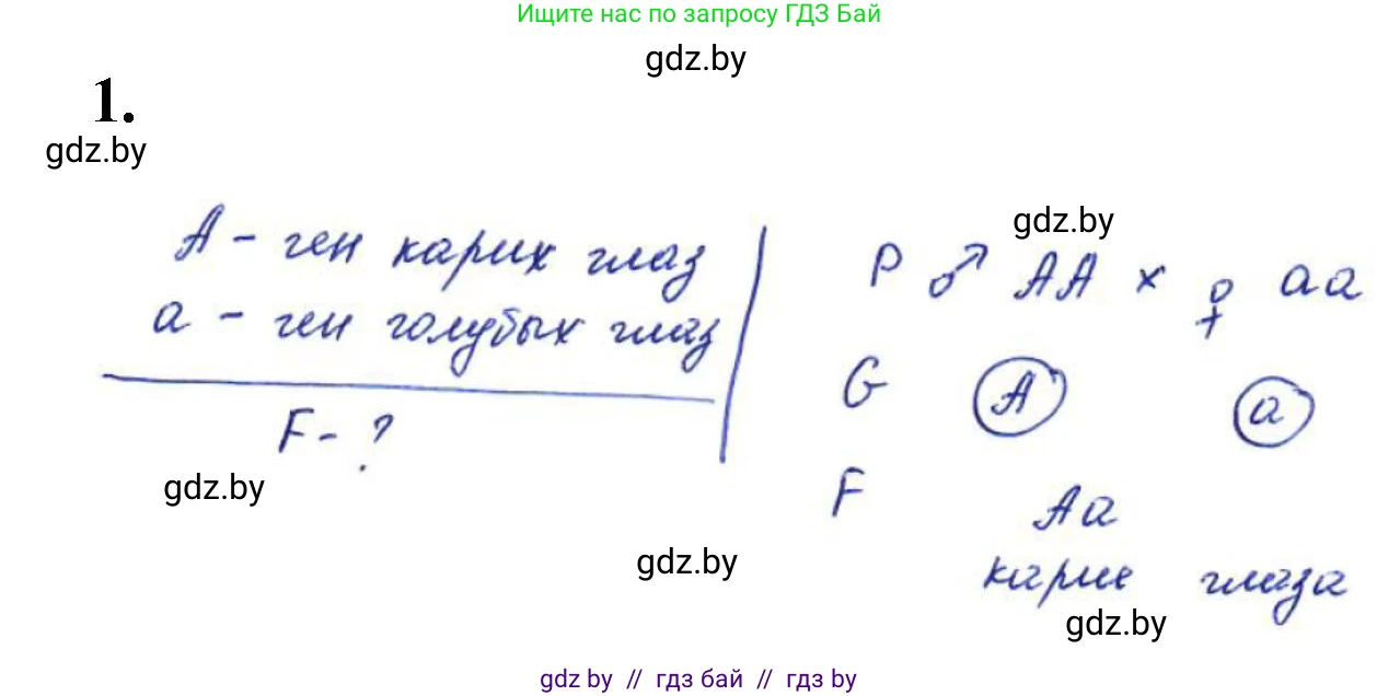 Биология, 11 класс Тетрадь для лабораторных и практических работ, автор: Хруцкая Тамара Викторовна, издательство Аверсэв, Минск, 2021, жёлтого цвета, страница 55, номер 1, Решение