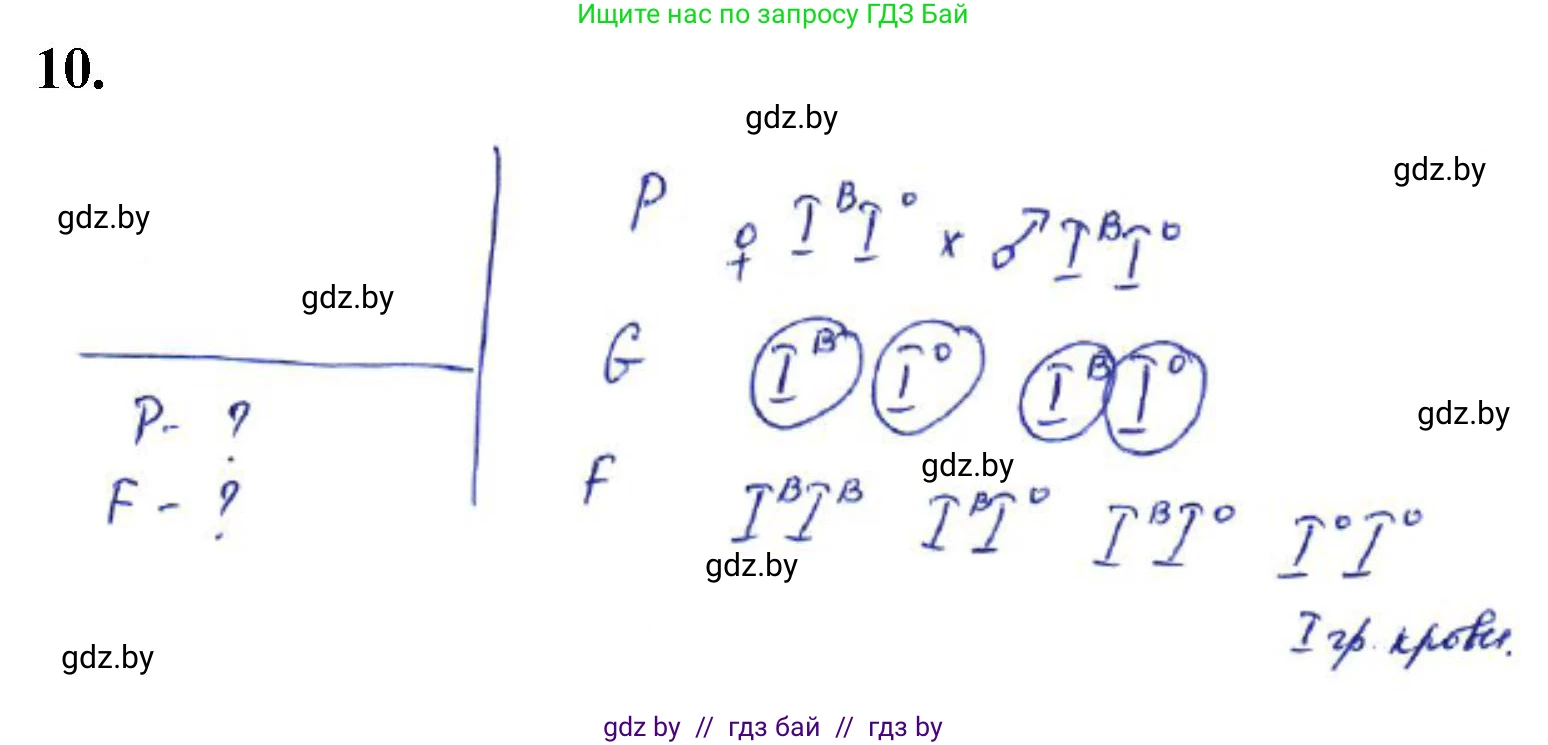 Биология, 11 класс Тетрадь для лабораторных и практических работ, автор: Хруцкая Тамара Викторовна, издательство Аверсэв, Минск, 2021, жёлтого цвета, страница 59, номер 10, Решение