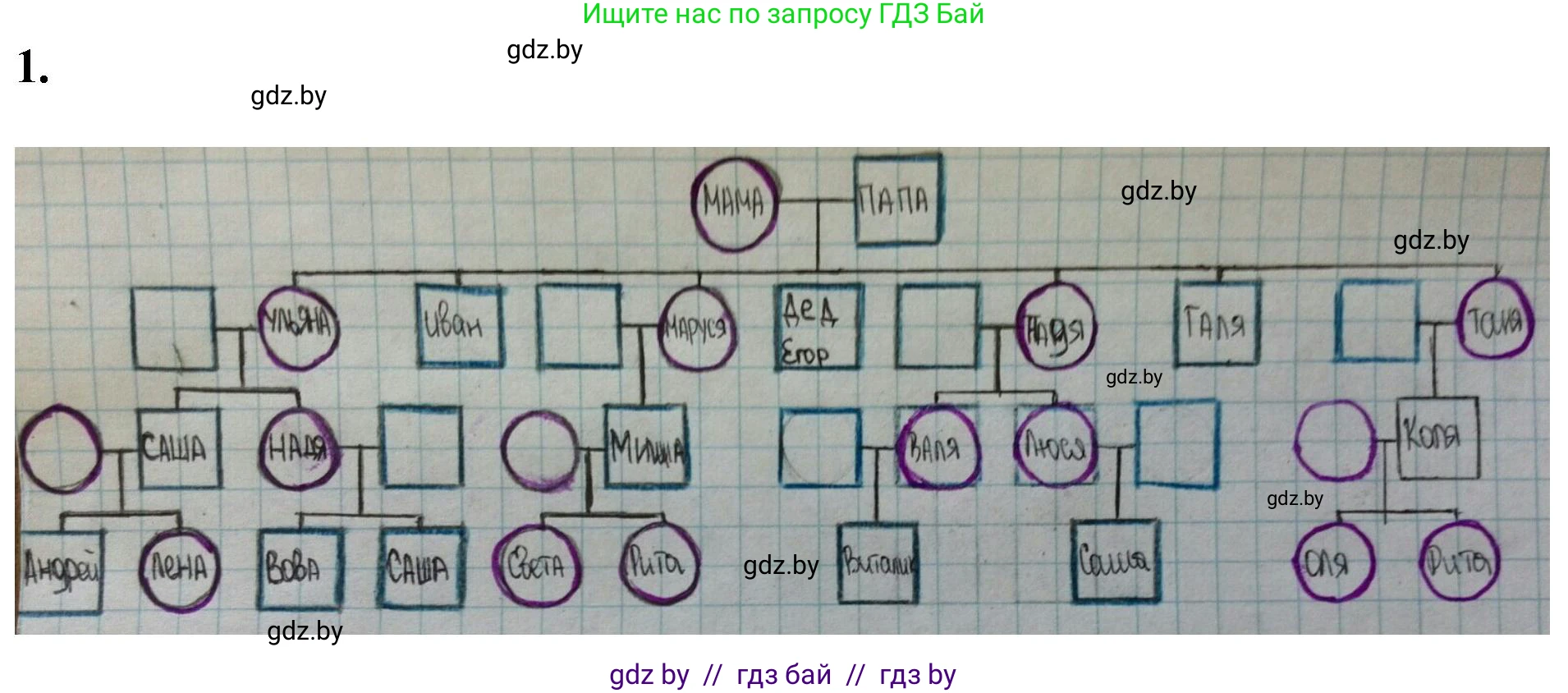 Биология, 11 класс Тетрадь для лабораторных и практических работ, автор: Хруцкая Тамара Викторовна, издательство Аверсэв, Минск, 2021, жёлтого цвета, страница 83, номер 1, Решение
