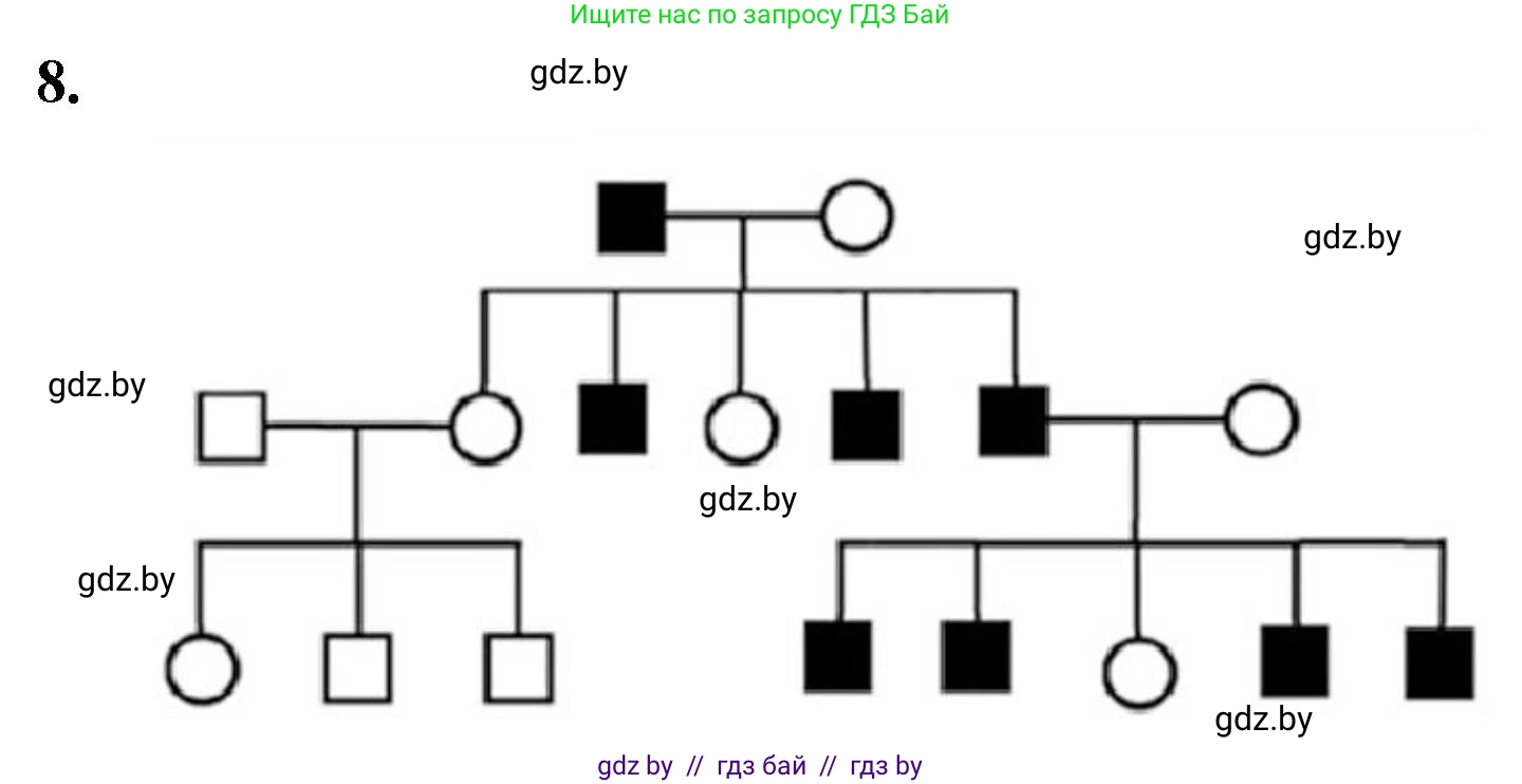 Биология, 11 класс Тетрадь для лабораторных и практических работ, автор: Хруцкая Тамара Викторовна, издательство Аверсэв, Минск, 2021, жёлтого цвета, страница 87, номер 8, Решение