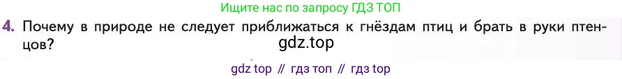 Биология, 11 класс Учебник, авторы: Пасечник Владимир Васильевич, Каменский Андрей Александрович, Рубцов Александр Михайлович, Швецов Глеб Геннадьевич, Абовян Леван Арташесович, Гапонюк Зоя Георгиевна, издательство Просвещение, Москва, 2019, страница 57, номер 4, Условие