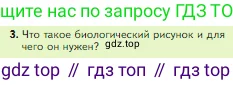Биология, 5 класс Учебник, авторы: Пасечник Владимир Васильевич, Суматохин Сергей Витальевич, Гапонюк Зоя Георгиевна, Швецов Глеб Геннадьевич, издательство Просвещение, Москва, 2023, белого цвета, страница 46, номер 3, Условие