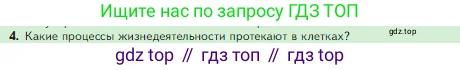 Биология, 5 класс Учебник, авторы: Пасечник Владимир Васильевич, Суматохин Сергей Витальевич, Гапонюк Зоя Георгиевна, Швецов Глеб Геннадьевич, издательство Просвещение, Москва, 2023, белого цвета, страница 67, номер 4, Условие