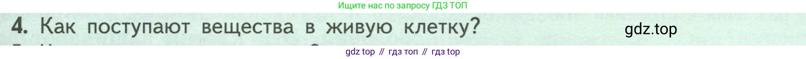 Биология, 6 класс Учебник, авторы: Пасечник Владимир Васильевич, Суматохин Сергей Витальевич, Гапонюк Зоя Георгиевна, Швецов Глеб Геннадьевич, издательство Просвещение, Москва, 2023, белого цвета, страница 29, номер 4, Условие