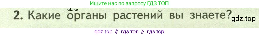 Биология, 6 класс Учебник, авторы: Пасечник Владимир Васильевич, Суматохин Сергей Витальевич, Гапонюк Зоя Георгиевна, Швецов Глеб Геннадьевич, издательство Просвещение, Москва, 2023, белого цвета, страница 34, номер 2, Условие