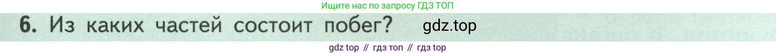 Биология, 6 класс Учебник, авторы: Пасечник Владимир Васильевич, Суматохин Сергей Витальевич, Гапонюк Зоя Георгиевна, Швецов Глеб Геннадьевич, издательство Просвещение, Москва, 2023, белого цвета, страница 37, номер 6, Условие