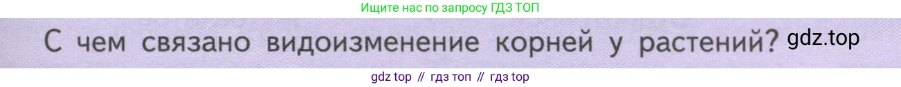 Биология, 6 класс Учебник, авторы: Пасечник Владимир Васильевич, Суматохин Сергей Витальевич, Гапонюк Зоя Георгиевна, Швецов Глеб Геннадьевич, издательство Просвещение, Москва, 2023, белого цвета, страница 51, Условие