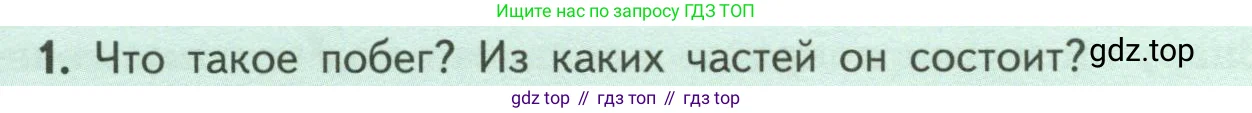 Биология, 6 класс Учебник, авторы: Пасечник Владимир Васильевич, Суматохин Сергей Витальевич, Гапонюк Зоя Георгиевна, Швецов Глеб Геннадьевич, издательство Просвещение, Москва, 2023, белого цвета, страница 54, номер 1, Условие