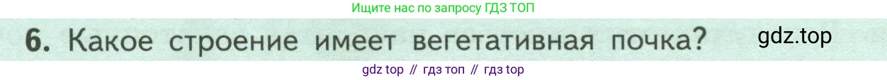 Биология, 6 класс Учебник, авторы: Пасечник Владимир Васильевич, Суматохин Сергей Витальевич, Гапонюк Зоя Георгиевна, Швецов Глеб Геннадьевич, издательство Просвещение, Москва, 2023, белого цвета, страница 54, номер 6, Условие