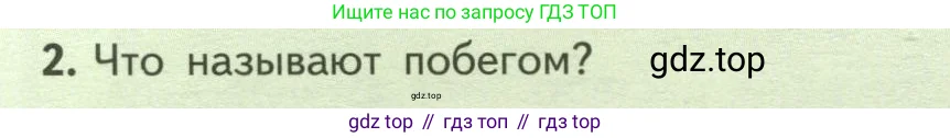 Биология, 6 класс Учебник, авторы: Пасечник Владимир Васильевич, Суматохин Сергей Витальевич, Гапонюк Зоя Георгиевна, Швецов Глеб Геннадьевич, издательство Просвещение, Москва, 2023, белого цвета, страница 74, номер 2, Условие