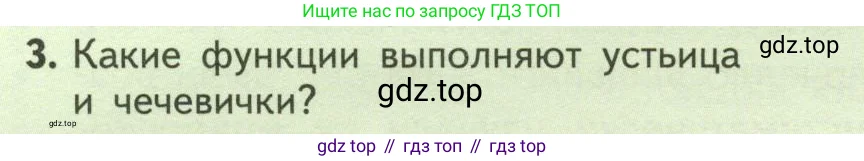 Биология, 6 класс Учебник, авторы: Пасечник Владимир Васильевич, Суматохин Сергей Витальевич, Гапонюк Зоя Георгиевна, Швецов Глеб Геннадьевич, издательство Просвещение, Москва, 2023, белого цвета, страница 116, номер 3, Условие