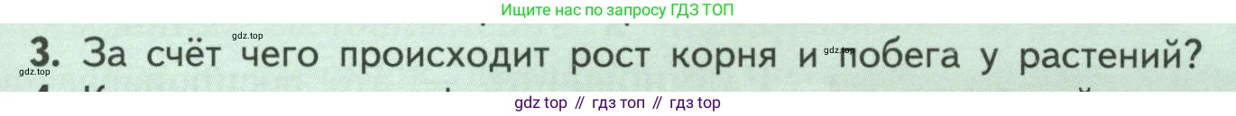 Биология, 6 класс Учебник, авторы: Пасечник Владимир Васильевич, Суматохин Сергей Витальевич, Гапонюк Зоя Георгиевна, Швецов Глеб Геннадьевич, издательство Просвещение, Москва, 2023, белого цвета, страница 129, номер 3, Условие