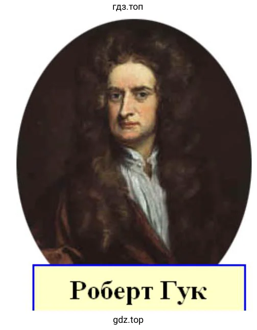 Роберт Гук