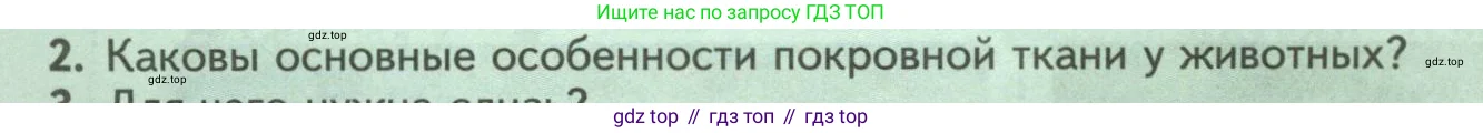 Биология, 8 класс Учебник, авторы: Пасечник Владимир Васильевич, Суматохин Сергей Витальевич, Гапонюк Зоя Георгиевна, издательство Просвещение, Москва, 2023, белого цвета, страница 40, номер 2, Условие
