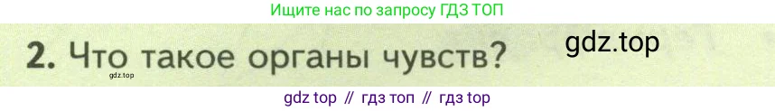 Биология, 8 класс Учебник, авторы: Пасечник Владимир Васильевич, Суматохин Сергей Витальевич, Гапонюк Зоя Георгиевна, издательство Просвещение, Москва, 2023, белого цвета, страница 82, номер 2, Условие