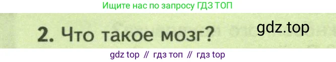 Биология, 8 класс Учебник, авторы: Пасечник Владимир Васильевич, Суматохин Сергей Витальевич, Гапонюк Зоя Георгиевна, издательство Просвещение, Москва, 2023, белого цвета, страница 132, номер 2, Условие