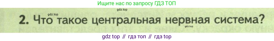 Биология, 8 класс Учебник, авторы: Пасечник Владимир Васильевич, Суматохин Сергей Витальевич, Гапонюк Зоя Георгиевна, издательство Просвещение, Москва, 2023, белого цвета, страница 148, номер 2, Условие