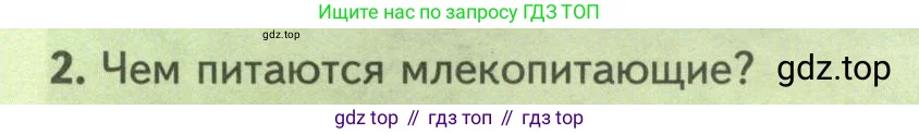 Биология, 8 класс Учебник, авторы: Пасечник Владимир Васильевич, Суматохин Сергей Витальевич, Гапонюк Зоя Георгиевна, издательство Просвещение, Москва, 2023, белого цвета, страница 216, номер 2, Условие