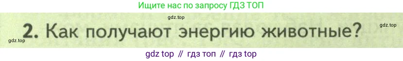 Биология, 8 класс Учебник, авторы: Пасечник Владимир Васильевич, Суматохин Сергей Витальевич, Гапонюк Зоя Георгиевна, издательство Просвещение, Москва, 2023, белого цвета, страница 240, номер 2, Условие