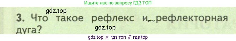 Биология, 9 класс Учебник, авторы: Пасечник Владимир Васильевич, Каменский Андрей Александрович, Швецов Глеб Геннадьевич, Гапонюк Зоя Георгиевна, издательство Просвещение, Москва, 2023, белого цвета, страница 84, номер 3, Условие