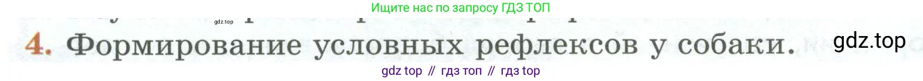 Биология, 9 класс Учебник, авторы: Пасечник Владимир Васильевич, Каменский Андрей Александрович, Швецов Глеб Геннадьевич, Гапонюк Зоя Георгиевна, издательство Просвещение, Москва, 2023, белого цвета, страница 250, номер 4, Условие