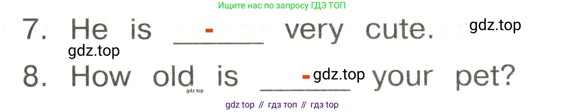 Английский язык (english), 3 класс Сборник упражнений, авторы: Быкова Надежда Ильинична (Bykova Nadezhda), Поспелова Марина Давидовна (Pospelova Marina), издательство Просвещение, Москва, 2023, зелёного цвета, страница 86, номер 17, Решение 2 (продолжение 2)