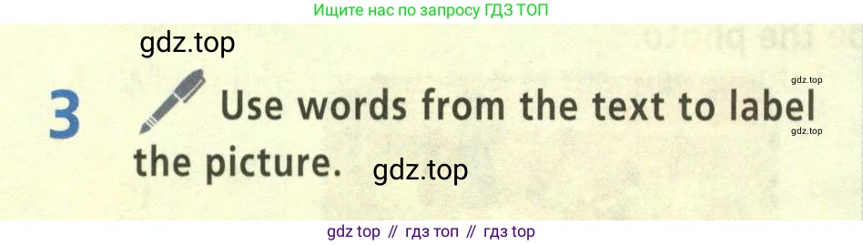 Английский язык (english), 5 класс Учебник (Student's book), авторы: Баранова Ксения Михайловна (Baranova Ksenia), Дули Дженни (Dooley Jenny), Копылова Виктория Викторовна (Kopylova Victoria), Мильруд Радислав Петрович (Millrood Radislav), Эванс Вирджиния (Evans Virginia), издательство Просвещение, Москва, 2023, белого цвета, страница 60, номер 3, Условие