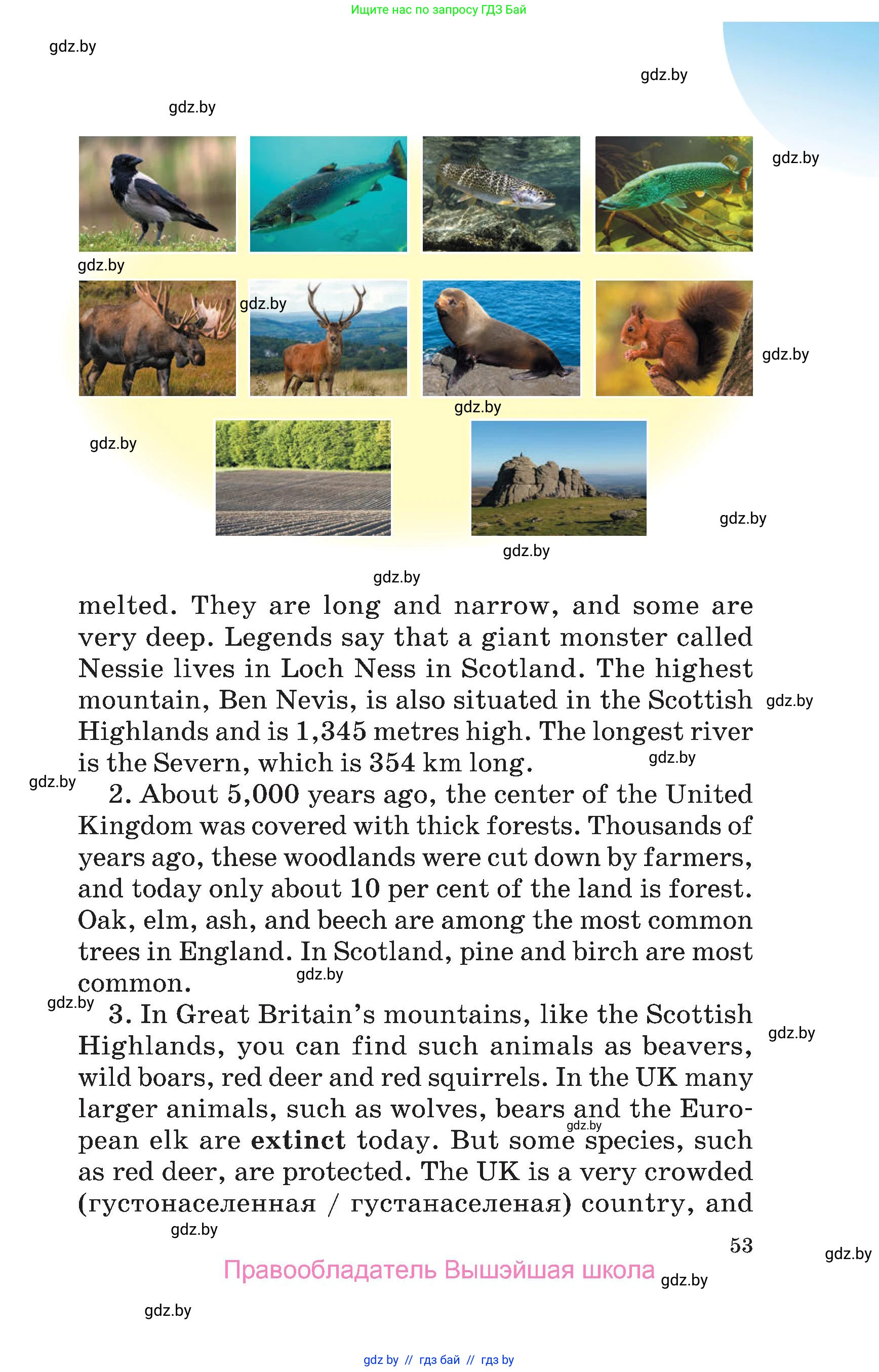 Английский язык (english), 6 класс Учебник, авторы: Демченко Наталья Валентиновна, Севрюкова Татьяна Юрьевна, Юхнель Наталья Валентиновна, Наумова Елена Георгиевна, Рыбалко О Н, Манешина А В, Маслёнченко Н А, издательство Вышэйшая школа, Минск, 2018, красного цвета, Часть 1, страница 53