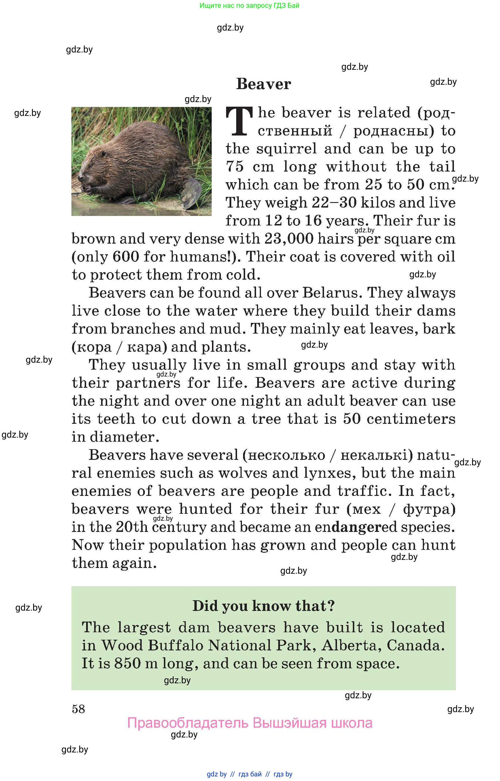 Английский язык (english), 6 класс Учебник, авторы: Демченко Наталья Валентиновна, Севрюкова Татьяна Юрьевна, Юхнель Наталья Валентиновна, Наумова Елена Георгиевна, Рыбалко О Н, Манешина А В, Маслёнченко Н А, издательство Вышэйшая школа, Минск, 2018, красного цвета, страница 58