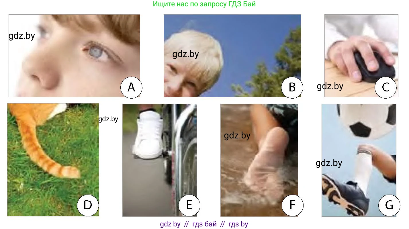 Английский язык (english), 6 класс Учебник, авторы: Юхнель Наталья Валентиновна, Наумова Елена Георгиевна, Малиновская Елена Александровна, издательство Адукацыя i выхаванне, Минск, 2021, страница 8, номер 5, Условие (продолжение 2)