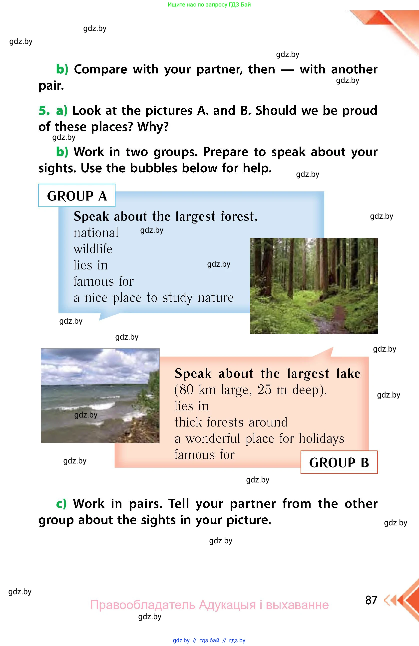 Английский язык (english), 6 класс Учебник, авторы: Юхнель Наталья Валентиновна, Наумова Елена Георгиевна, Малиновская Елена Александровна, издательство Адукацыя i выхаванне, Минск, 2021, страница 87