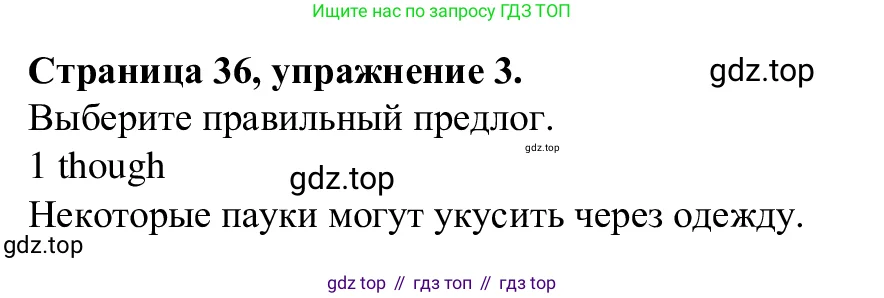 Английский язык (english), 7 класс Рабочая тетрадь (workbook), авторы: Баранова Ксения Михайловна (Baranova Ksenia), Дули Дженни (Dooley Jenny), Копылова Виктория Викторовна (Kopylova Victoria), Мильруд Радислав Петрович (Millrood Radislav), Эванс Вирджиния (Evans Virginia), издательство Просвещение, Москва, 2023, белого цвета, страница 36, номер 3, Решение 1 (2023-2027)