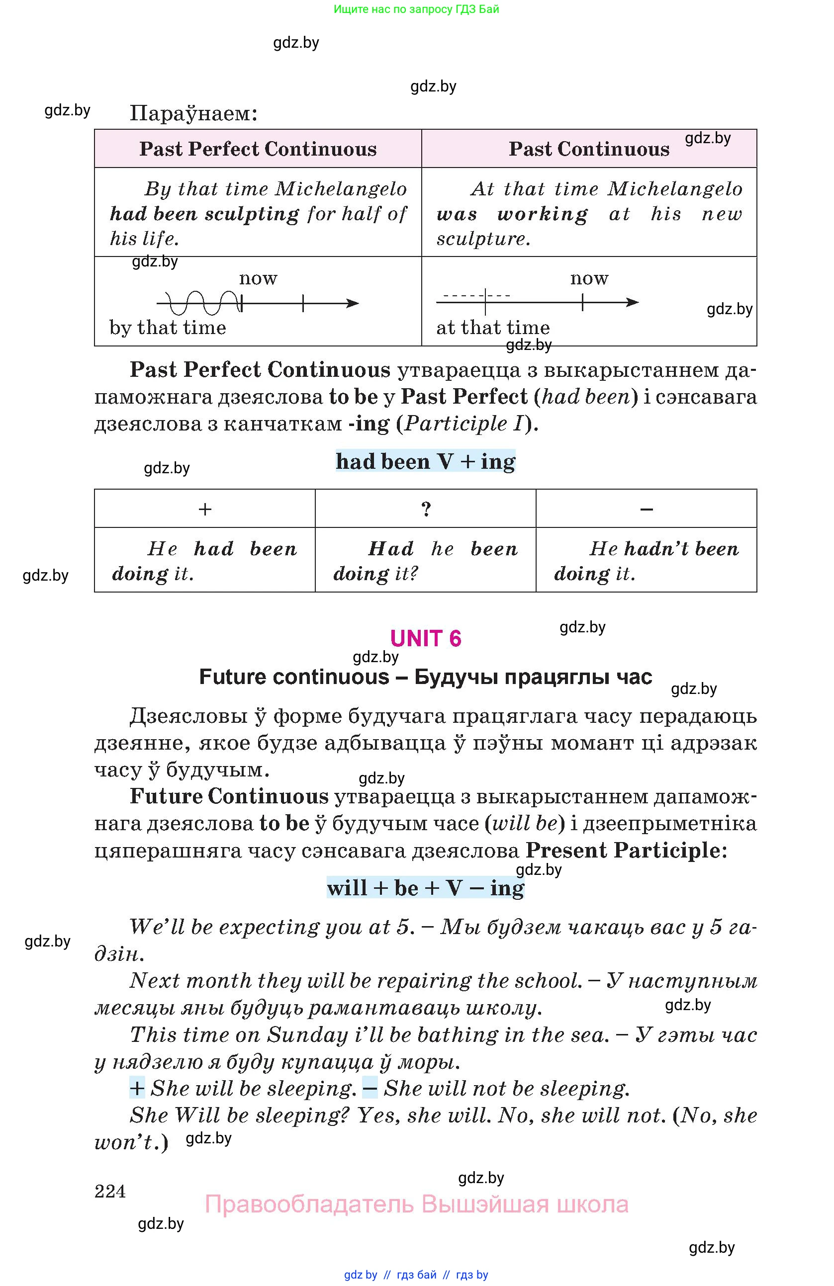 Английский язык (english), 10 класс Учебник (Student's book), авторы: Демченко Наталья Валентиновна, Юхнель Наталья Валентиновна, Севрюкова Татьяна Юрьевна, Бушуева Эдите Владиславовна, Лапицкая Людмила Михайловна (Lapitskaya Ludmila), издательство Вышэйшая школа, Минск, 2021, голубого цвета, страница 224