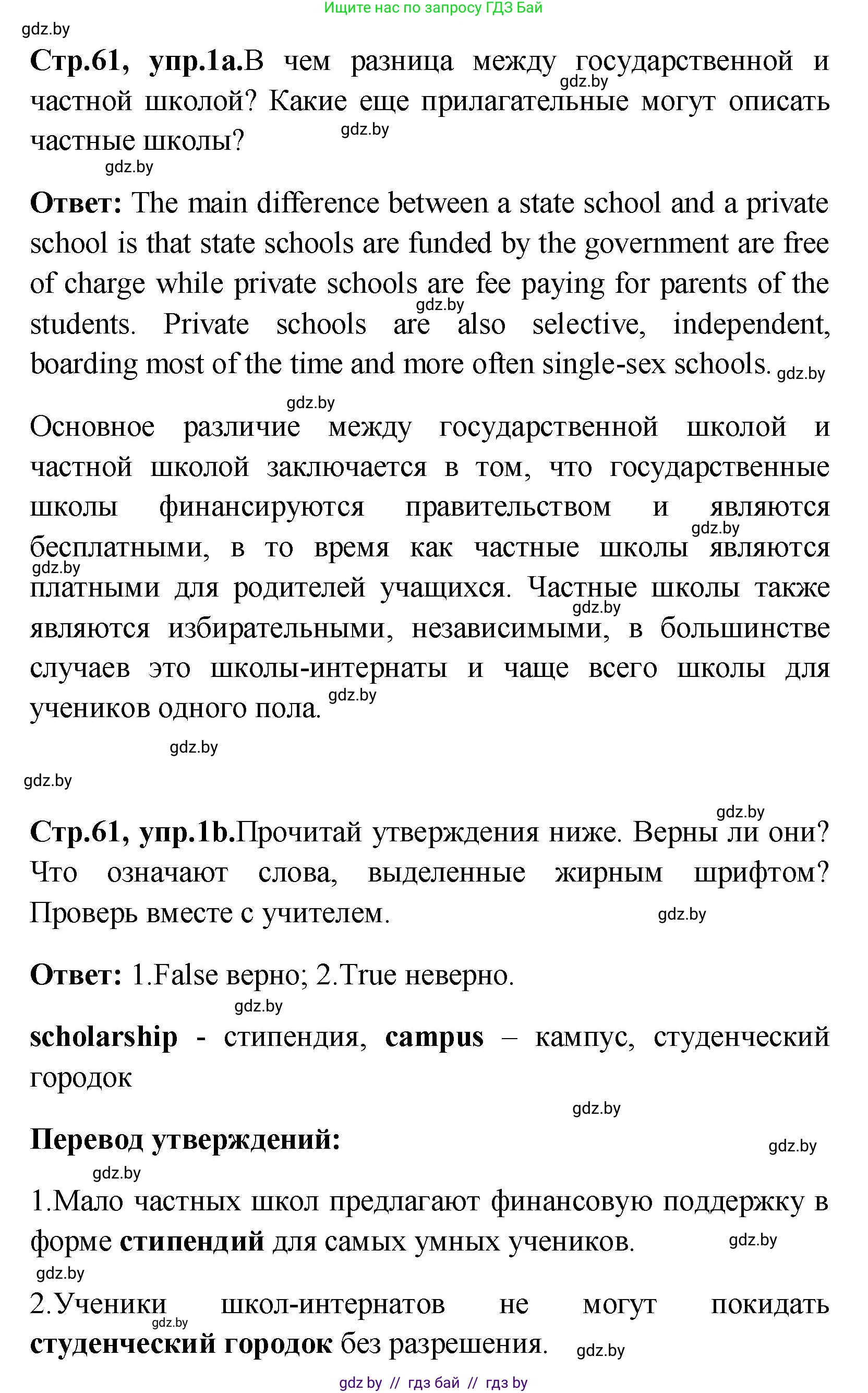 Английский язык (english), 10 класс Учебник (Student's book), авторы: Демченко Наталья Валентиновна, Юхнель Наталья Валентиновна, Севрюкова Татьяна Юрьевна, Бушуева Эдите Владиславовна, Лапицкая Людмила Михайловна (Lapitskaya Ludmila), издательство Вышэйшая школа, Минск, 2021, голубого цвета, Часть ( Part) 1, страница 61, номер 1, Решение