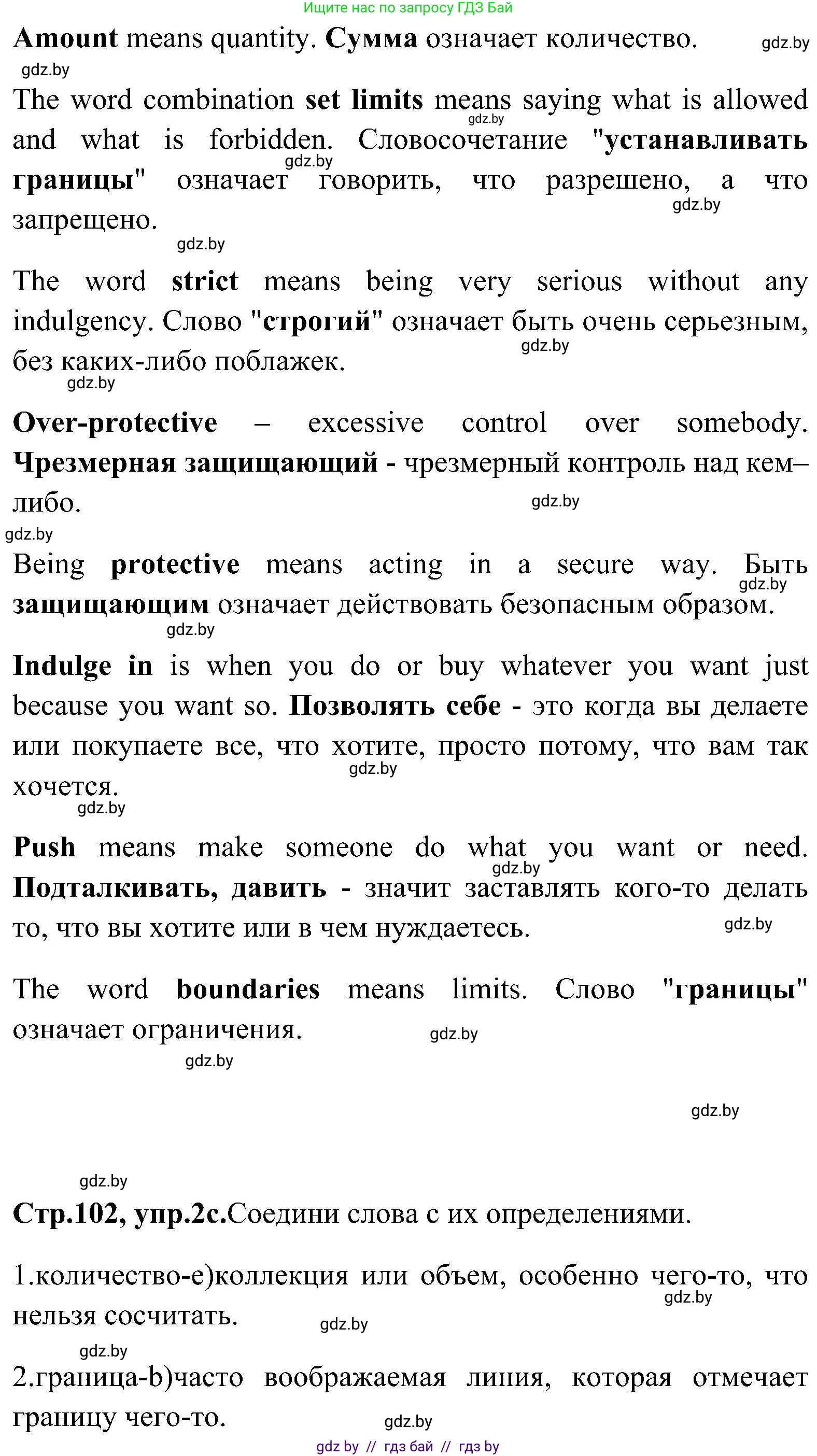 Английский язык (english), 10 класс Учебник (Student's book), авторы: Демченко Наталья Валентиновна, Юхнель Наталья Валентиновна, Севрюкова Татьяна Юрьевна, Бушуева Эдите Владиславовна, Лапицкая Людмила Михайловна (Lapitskaya Ludmila), издательство Вышэйшая школа, Минск, 2021, голубого цвета, Часть ( Part) 1, страница 101, номер 2, Решение (продолжение 6)